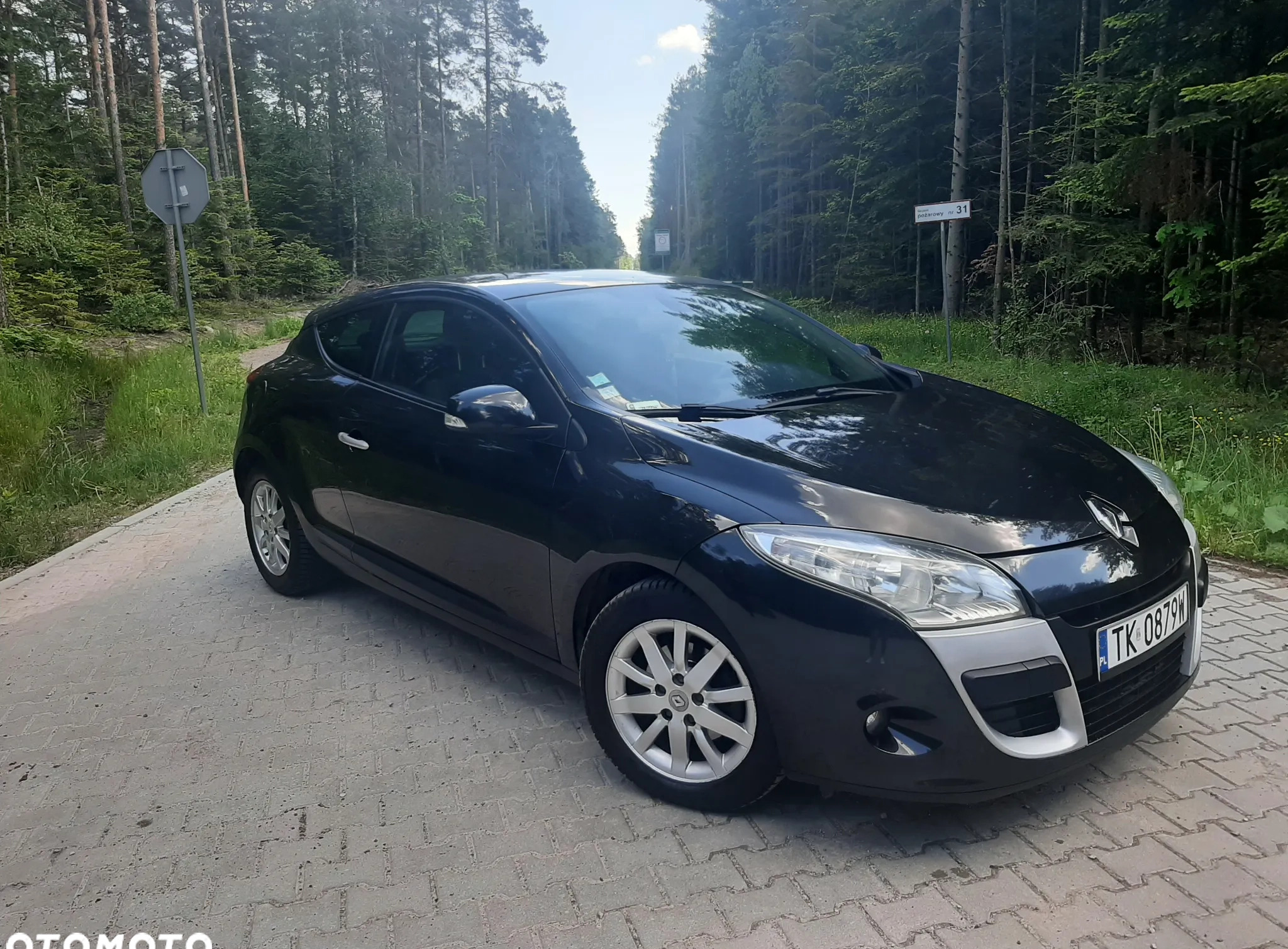 Renault Megane cena 17900 przebieg: 235190, rok produkcji 2010 z Marki małe 154